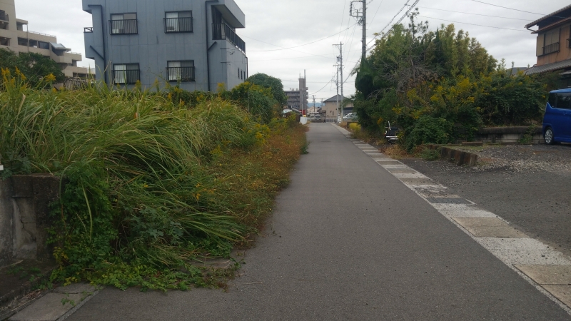 愛西市の財政では市道を除草できない